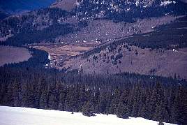 The wetland below was home to over a dozen beavers.